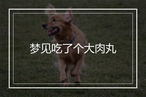 梦见吃了个大肉丸