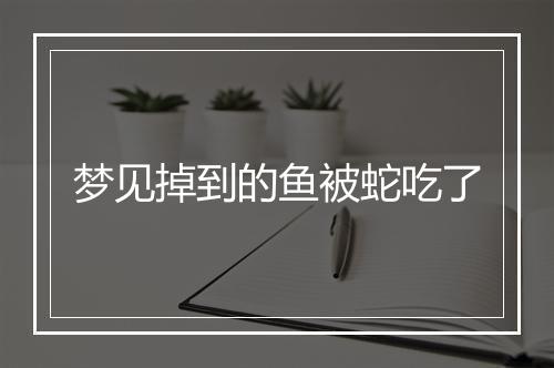 梦见掉到的鱼被蛇吃了