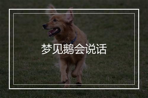 梦见鹅会说话