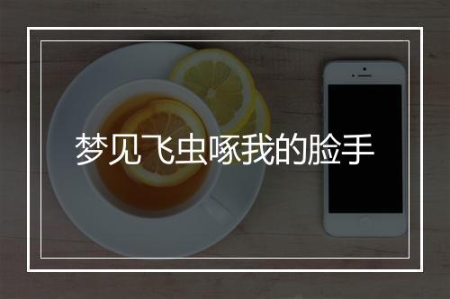 梦见飞虫啄我的脸手