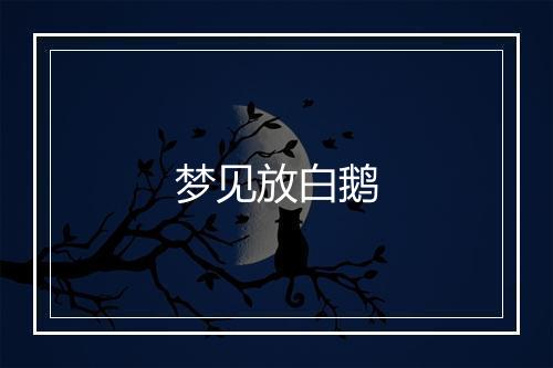 梦见放白鹅