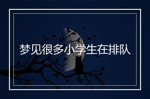 梦见很多小学生在排队