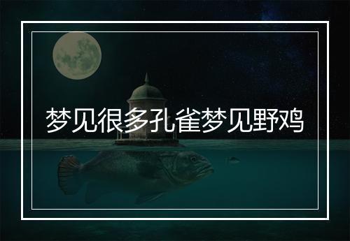 梦见很多孔雀梦见野鸡