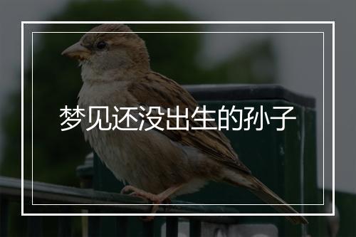 梦见还没出生的孙子