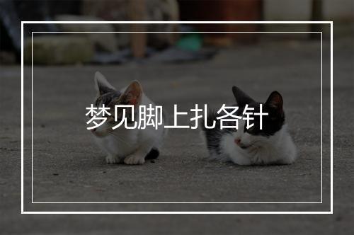 梦见脚上扎各针