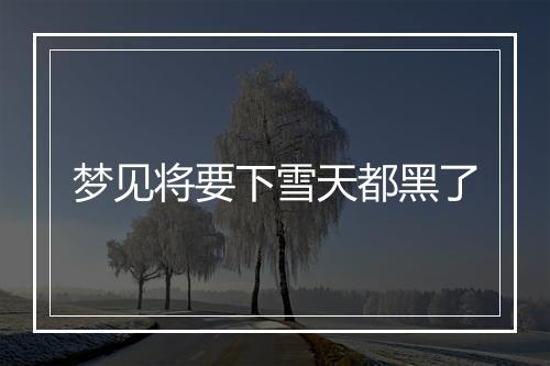 梦见将要下雪天都黑了