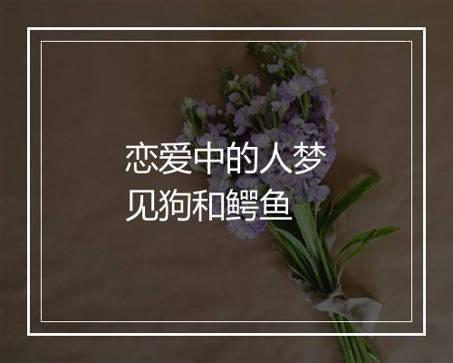 恋爱中的人梦见狗和鳄鱼