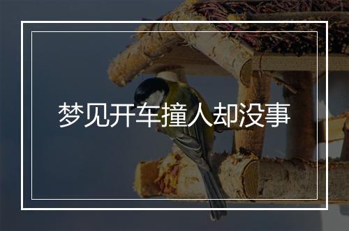 梦见开车撞人却没事