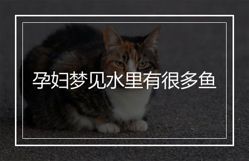 孕妇梦见水里有很多鱼