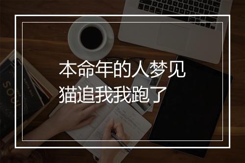 本命年的人梦见猫追我我跑了