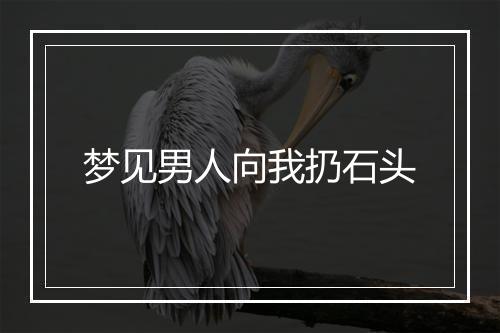 梦见男人向我扔石头