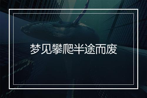 梦见攀爬半途而废