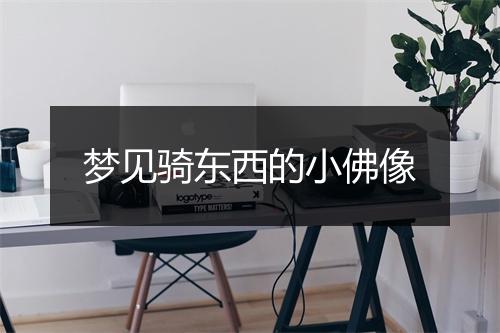 梦见骑东西的小佛像