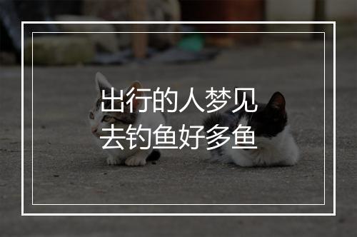 出行的人梦见去钓鱼好多鱼