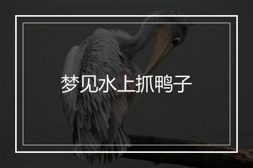 梦见水上抓鸭子