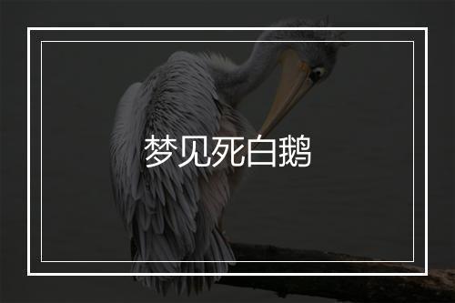 梦见死白鹅