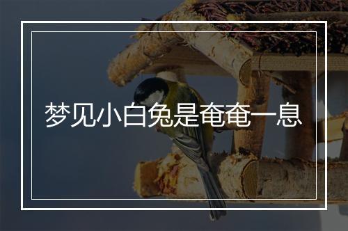 梦见小白兔是奄奄一息