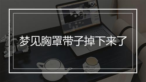 梦见胸罩带子掉下来了