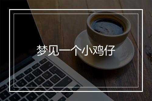 梦见一个小鸡仔