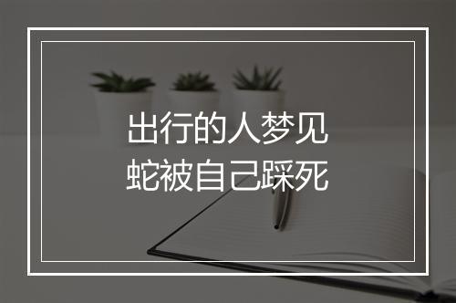 出行的人梦见蛇被自己踩死