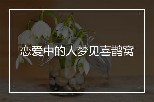 恋爱中的人梦见喜鹊窝