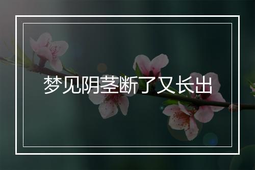 梦见阴茎断了又长出