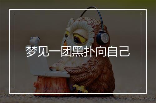 梦见一团黑扑向自己