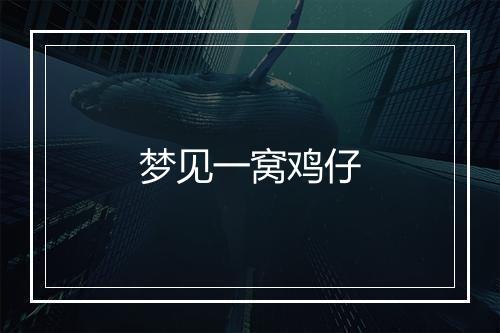 梦见一窝鸡仔