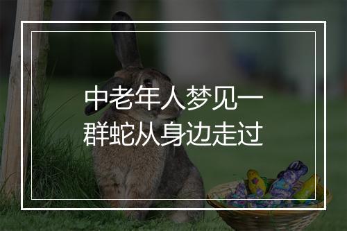 中老年人梦见一群蛇从身边走过