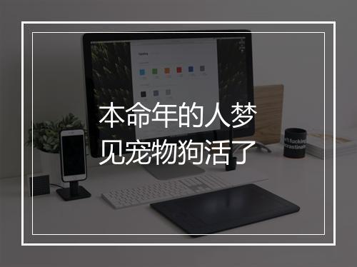 本命年的人梦见宠物狗活了