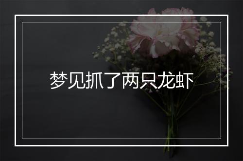 梦见抓了两只龙虾