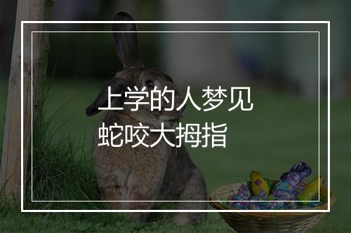 上学的人梦见蛇咬大拇指