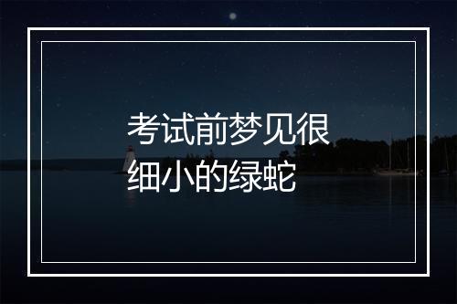 考试前梦见很细小的绿蛇