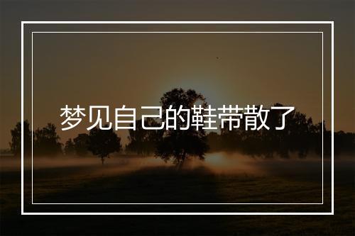 梦见自己的鞋带散了