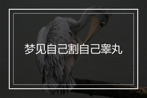 梦见自己割自己睾丸