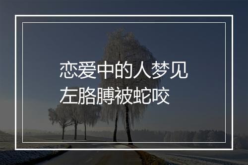 恋爱中的人梦见左胳膊被蛇咬