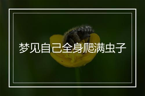 梦见自己全身爬满虫子