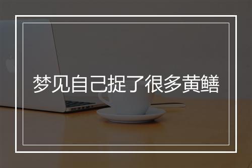 梦见自己捉了很多黄鳝