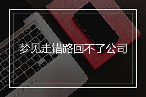 梦见走错路回不了公司