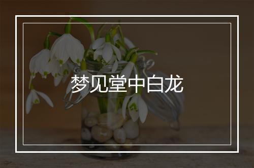 梦见堂中白龙