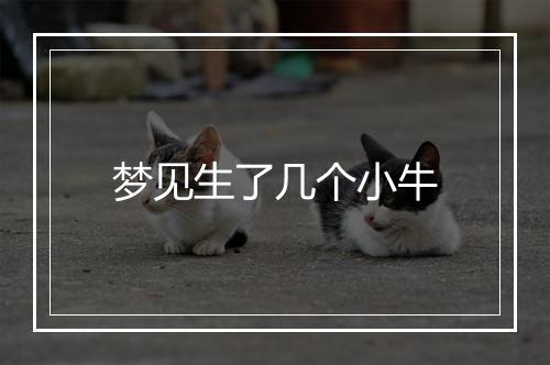 梦见生了几个小牛