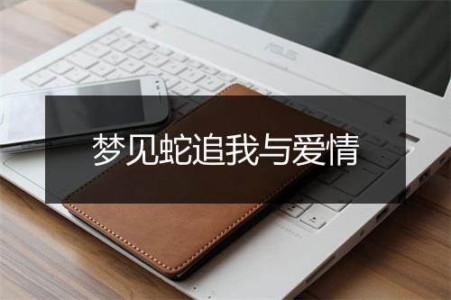 梦见蛇追我与爱情