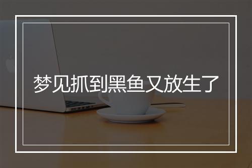 梦见抓到黑鱼又放生了