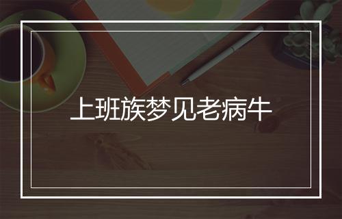 上班族梦见老病牛