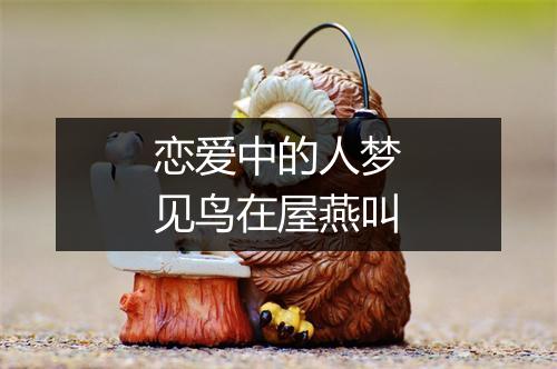 恋爱中的人梦见鸟在屋燕叫