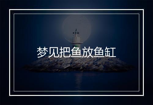 梦见把鱼放鱼缸