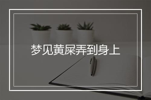 梦见黄屎弄到身上