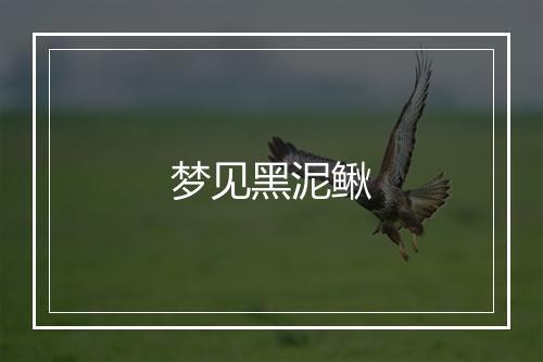 梦见黑泥鳅