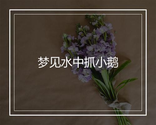 梦见水中抓小鹅