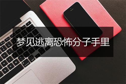 梦见逃离恐怖分子手里